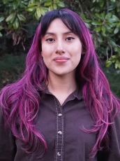 A grey placeholder with white SJSU logo.