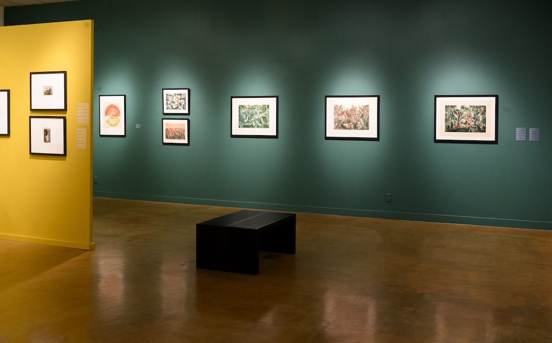 Photograph by Grace Austin